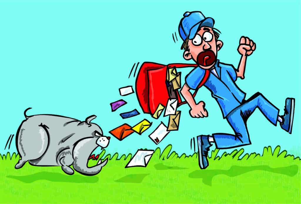 why dogs bite postmen