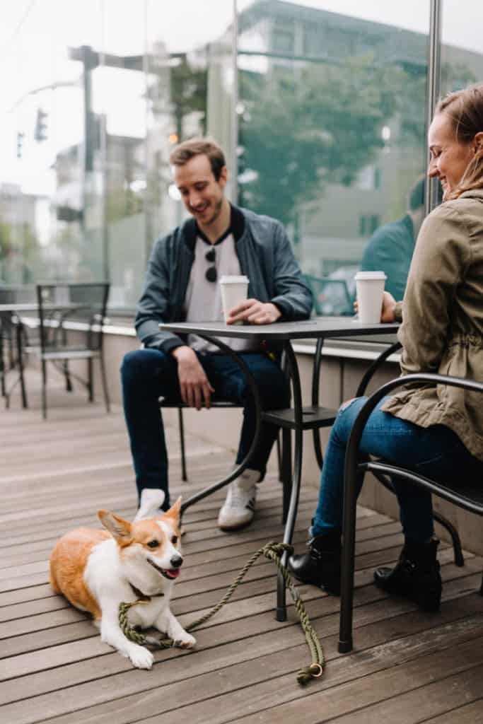 The Ultimate Guide To Dog friendly Restaurants In NYC SparkyGo