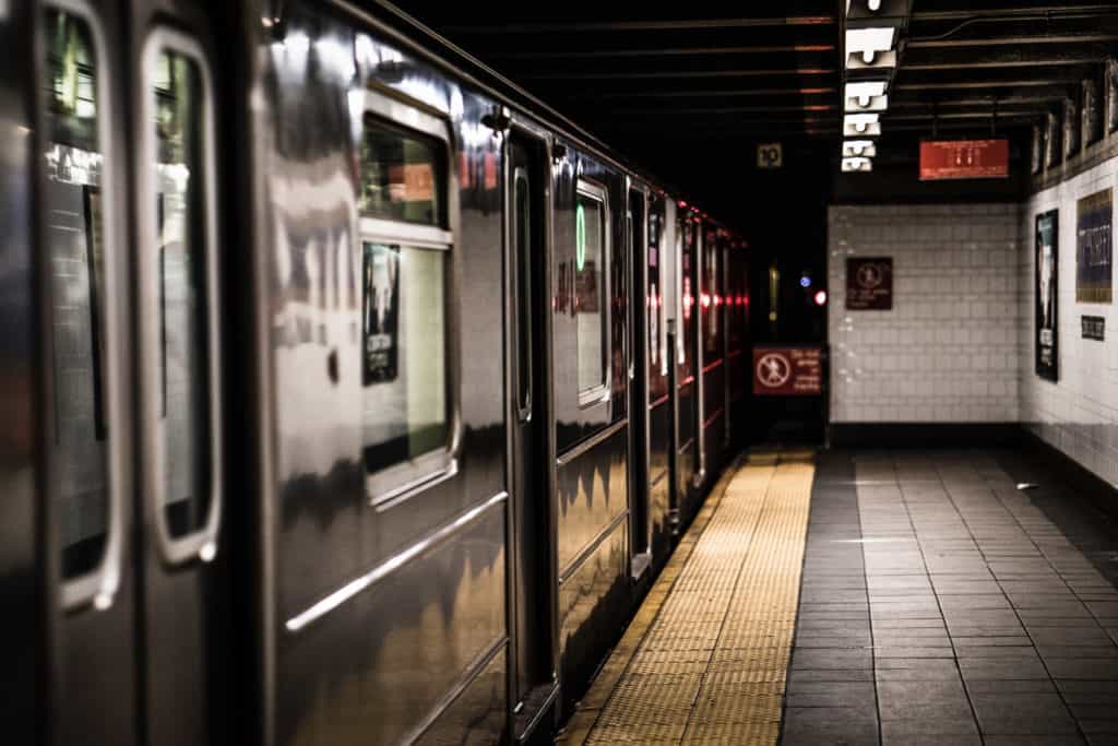 Can you take a dog on the subway in NYC? SparkyGo
