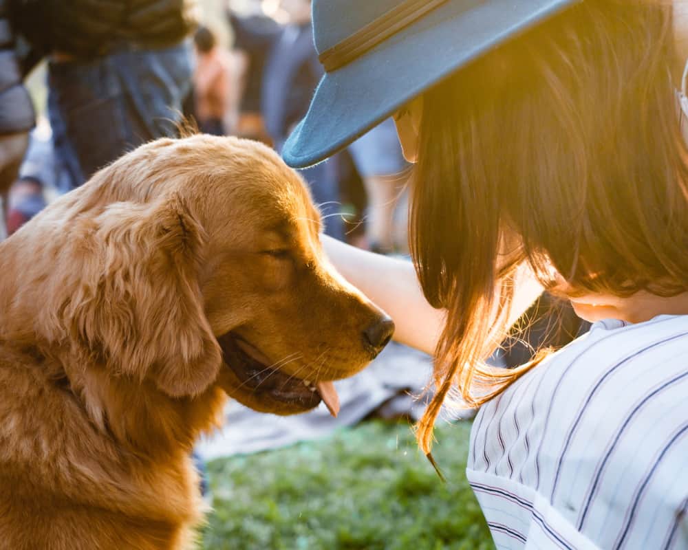 good nyc dog adoption