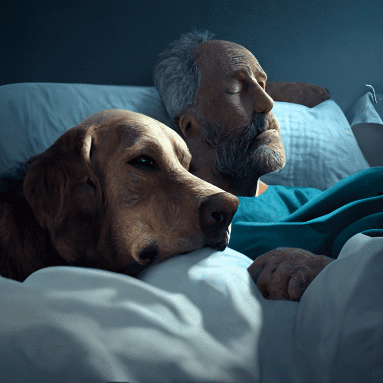 dogs being with us when we are sick ai